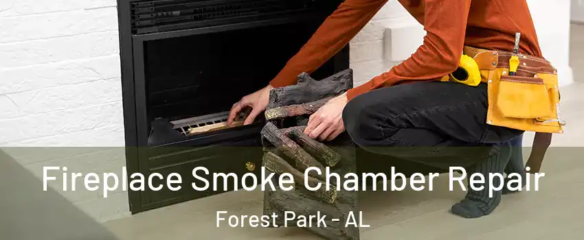 Fireplace Smoke Chamber Repair Forest Park - AL