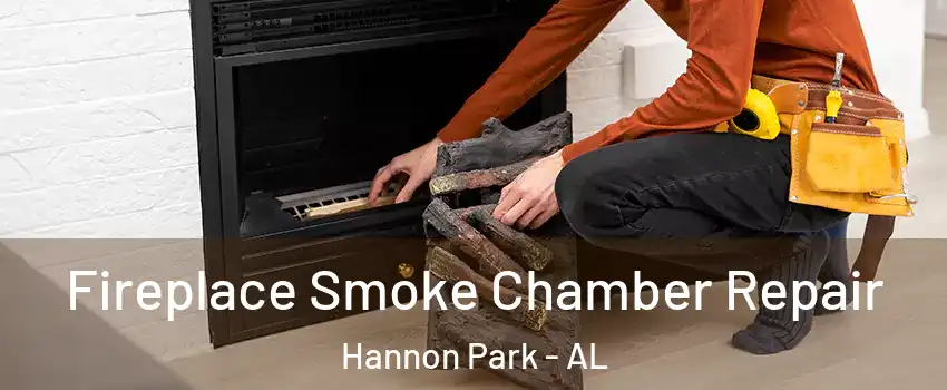 Fireplace Smoke Chamber Repair Hannon Park - AL