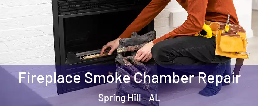 Fireplace Smoke Chamber Repair Spring Hill - AL