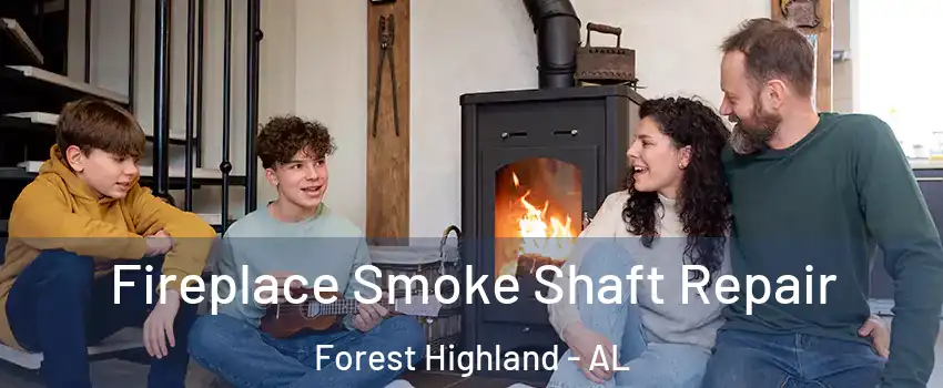 Fireplace Smoke Shaft Repair Forest Highland - AL