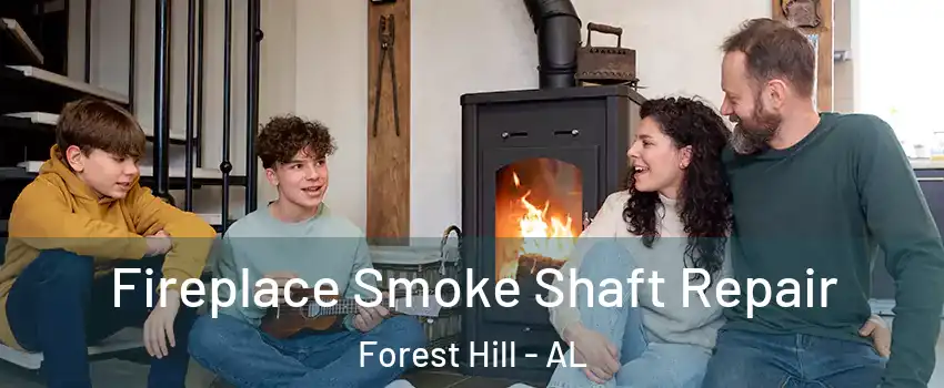 Fireplace Smoke Shaft Repair Forest Hill - AL