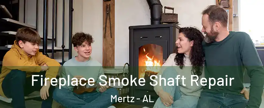 Fireplace Smoke Shaft Repair Mertz - AL