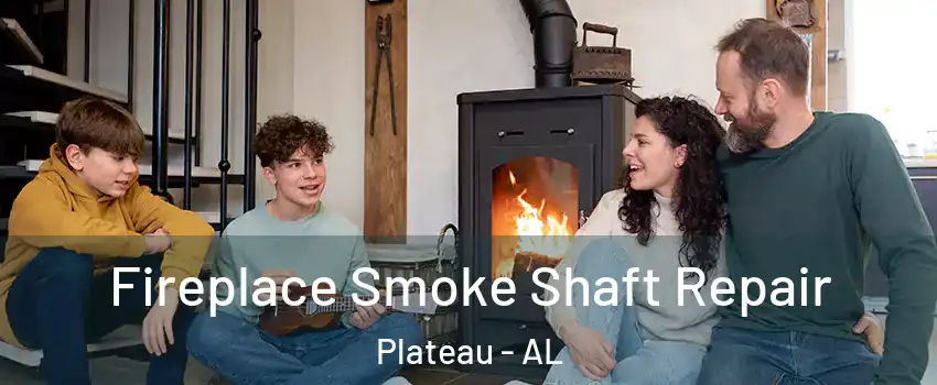 Fireplace Smoke Shaft Repair Plateau - AL