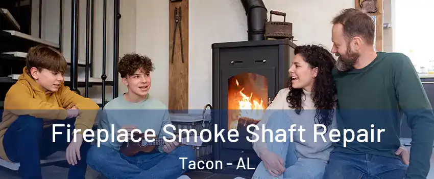 Fireplace Smoke Shaft Repair Tacon - AL