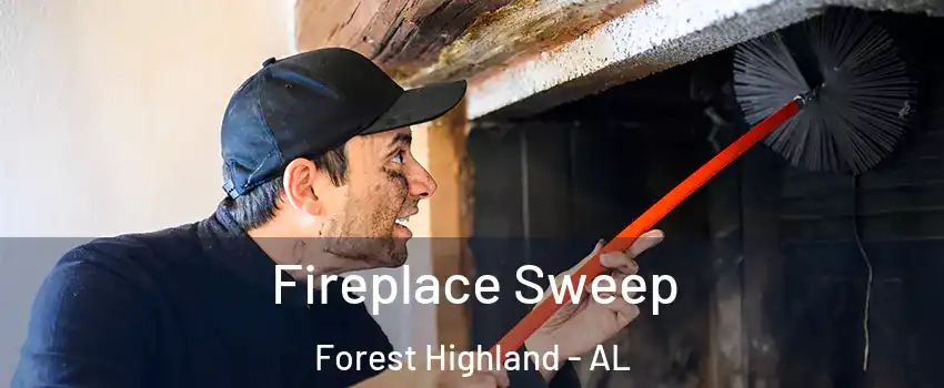 Fireplace Sweep Forest Highland - AL
