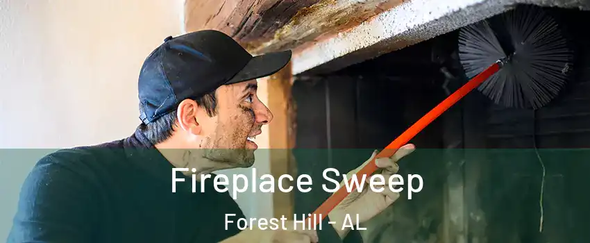 Fireplace Sweep Forest Hill - AL