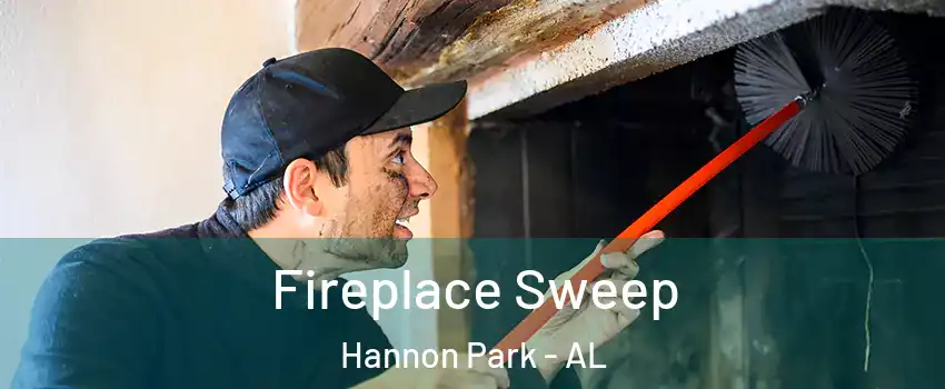 Fireplace Sweep Hannon Park - AL