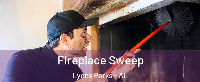 Fireplace Sweep Lyons Parks - AL