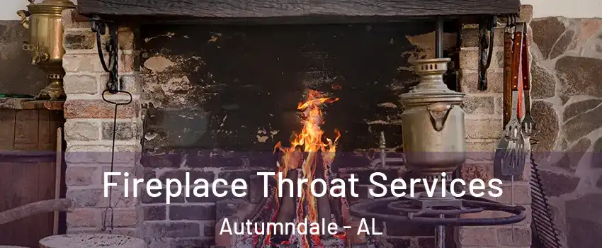 Fireplace Throat Services Autumndale - AL