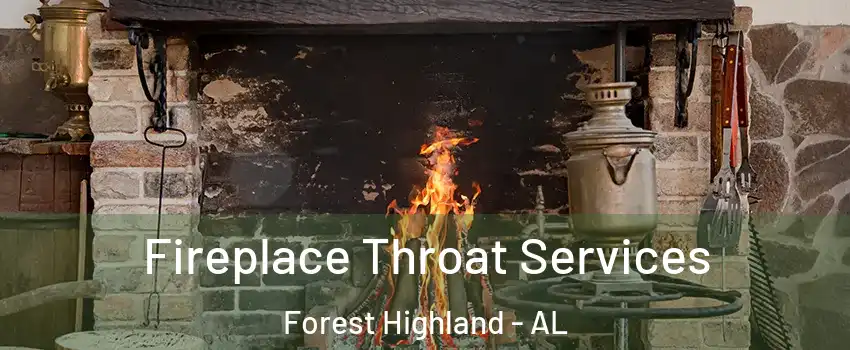 Fireplace Throat Services Forest Highland - AL