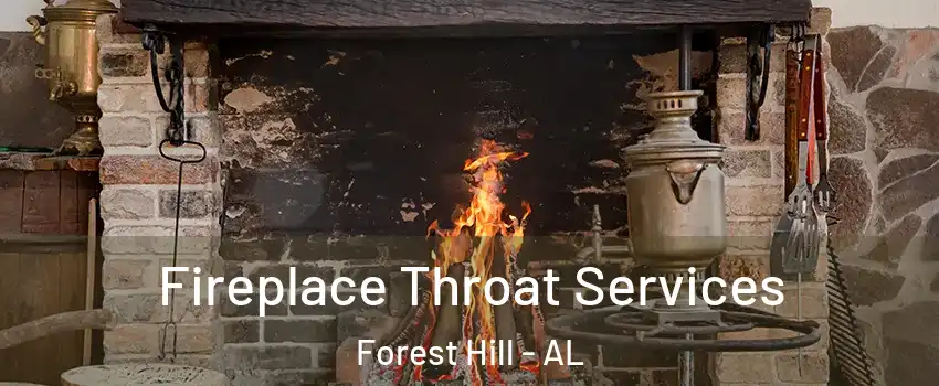 Fireplace Throat Services Forest Hill - AL