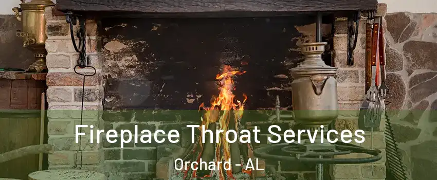 Fireplace Throat Services Orchard - AL