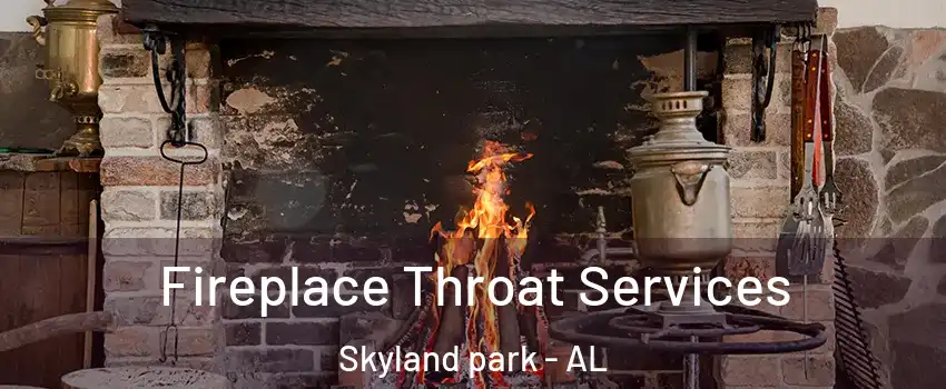 Fireplace Throat Services Skyland park - AL