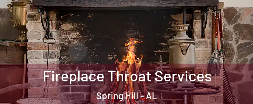 Fireplace Throat Services Spring Hill - AL