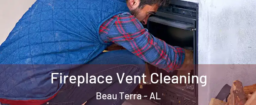 Fireplace Vent Cleaning Beau Terra - AL