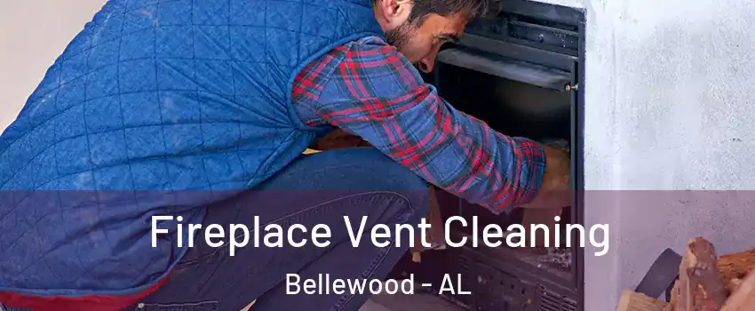 Fireplace Vent Cleaning Bellewood - AL