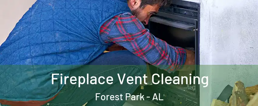 Fireplace Vent Cleaning Forest Park - AL