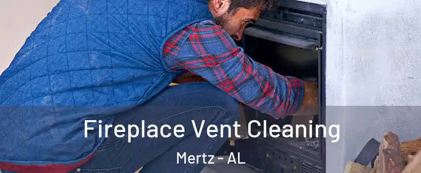 Fireplace Vent Cleaning Mertz - AL