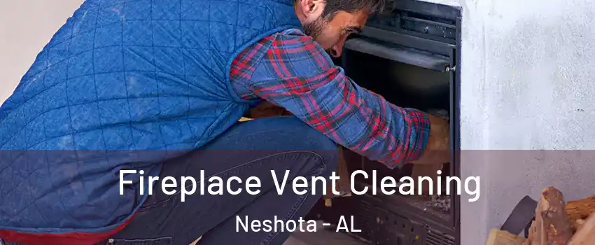 Fireplace Vent Cleaning Neshota - AL