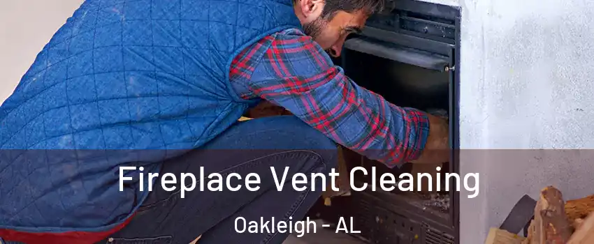 Fireplace Vent Cleaning Oakleigh - AL