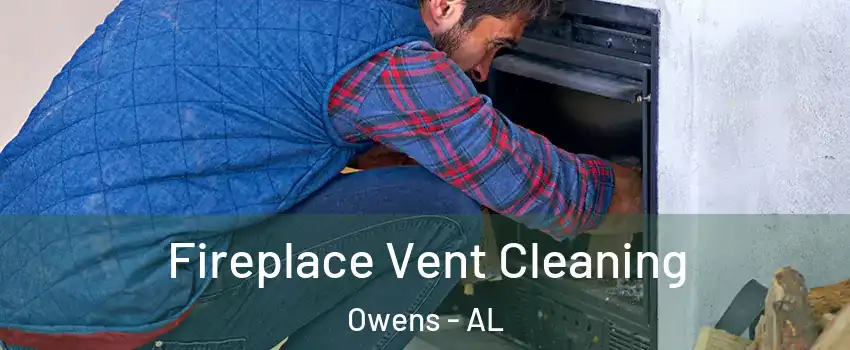 Fireplace Vent Cleaning Owens - AL