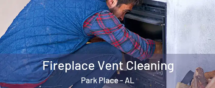 Fireplace Vent Cleaning Park Place - AL