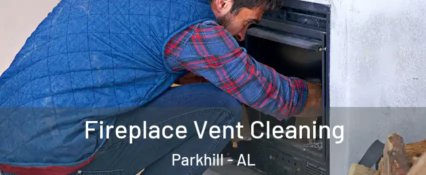 Fireplace Vent Cleaning Parkhill - AL
