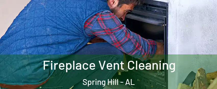 Fireplace Vent Cleaning Spring Hill - AL