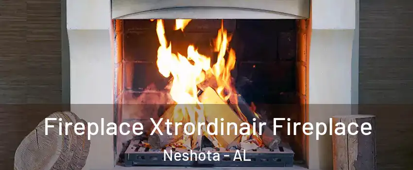 Fireplace Xtrordinair Fireplace Neshota - AL