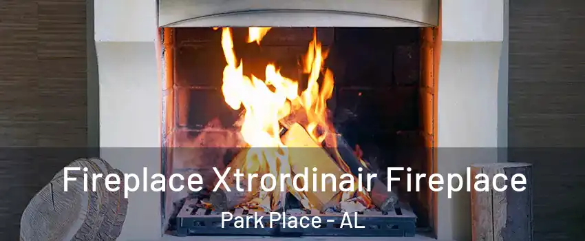 Fireplace Xtrordinair Fireplace Park Place - AL