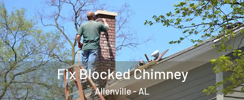 Fix Blocked Chimney Allenville - AL