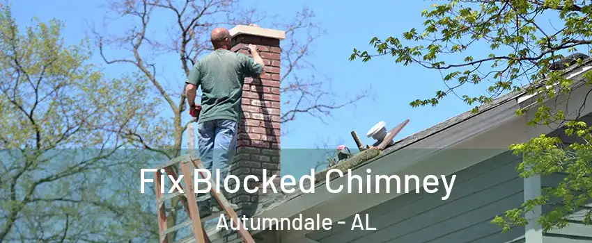 Fix Blocked Chimney Autumndale - AL