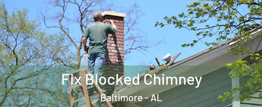 Fix Blocked Chimney Baltimore - AL
