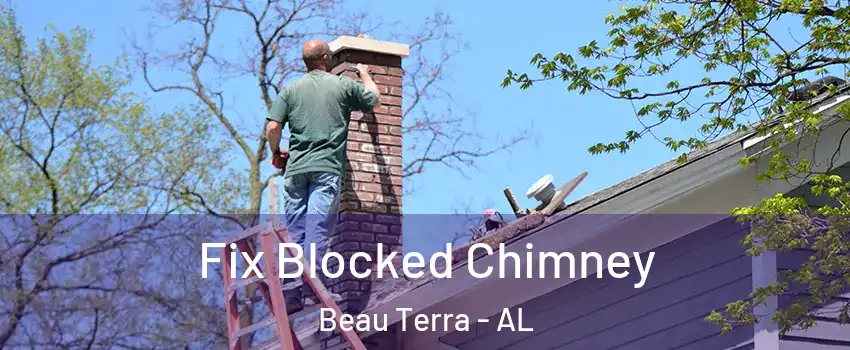 Fix Blocked Chimney Beau Terra - AL