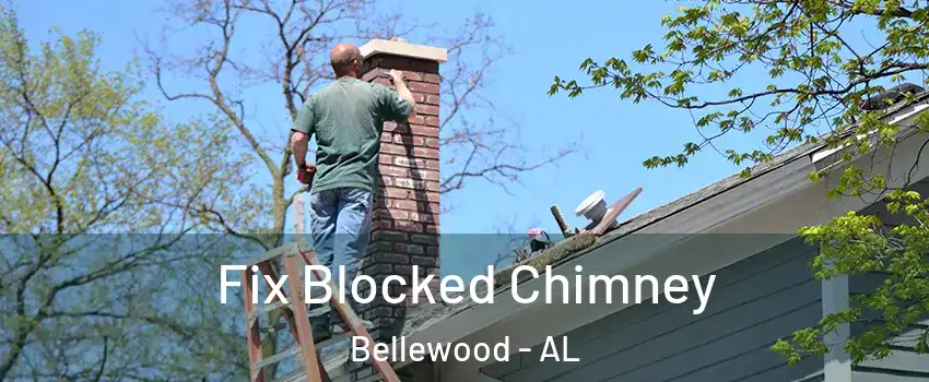 Fix Blocked Chimney Bellewood - AL
