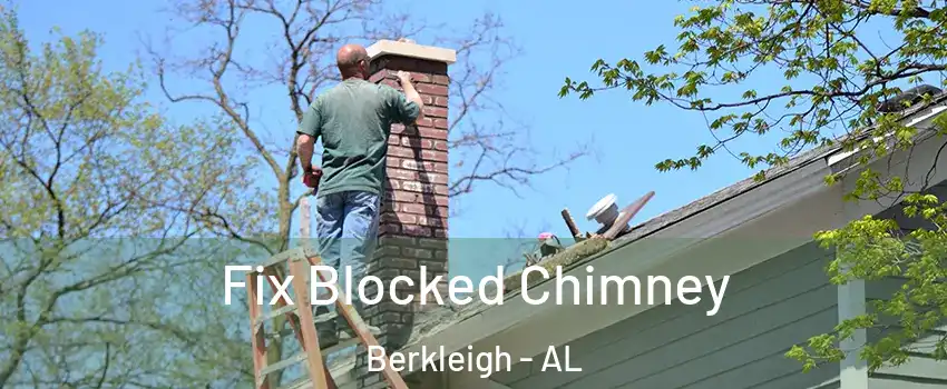 Fix Blocked Chimney Berkleigh - AL