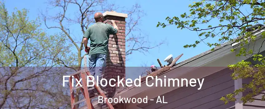 Fix Blocked Chimney Brookwood - AL