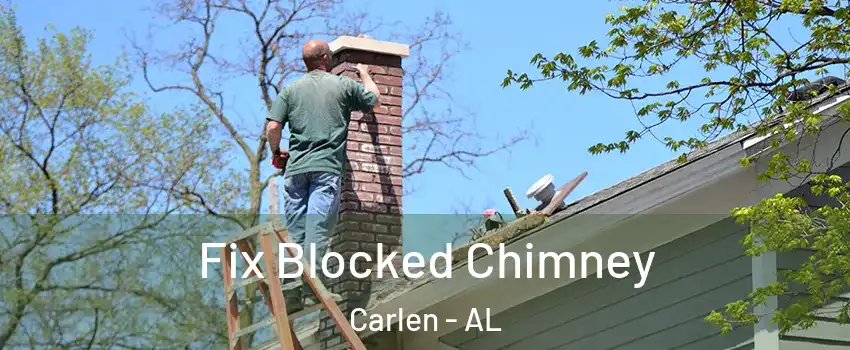 Fix Blocked Chimney Carlen - AL