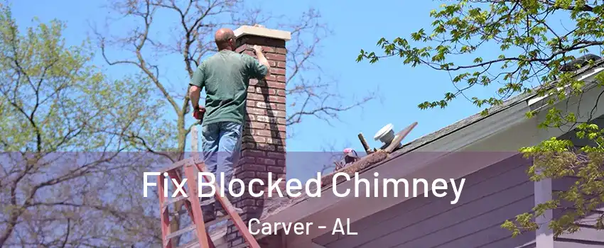 Fix Blocked Chimney Carver - AL