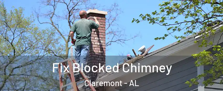 Fix Blocked Chimney Claremont - AL
