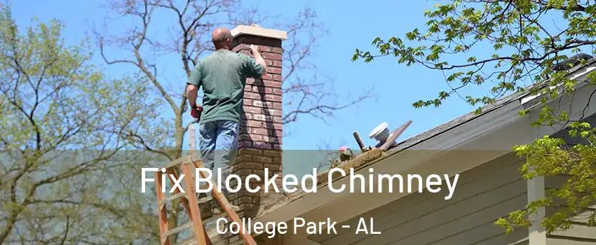 Fix Blocked Chimney College Park - AL