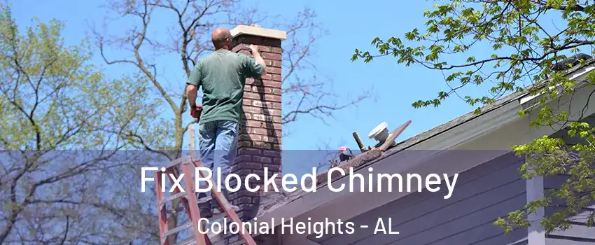 Fix Blocked Chimney Colonial Heights - AL