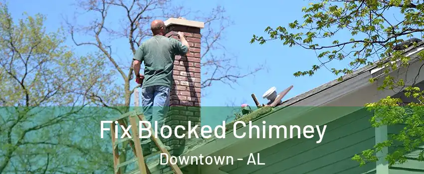 Fix Blocked Chimney Downtown - AL