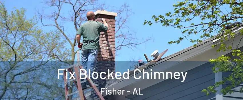 Fix Blocked Chimney Fisher - AL