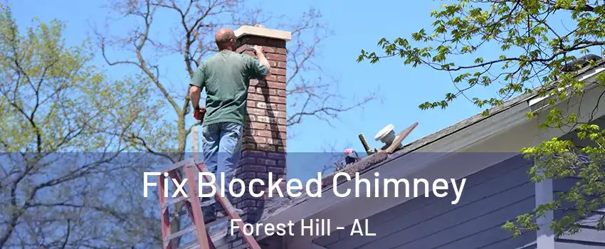 Fix Blocked Chimney Forest Hill - AL