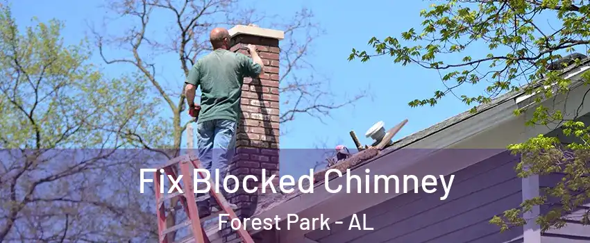 Fix Blocked Chimney Forest Park - AL