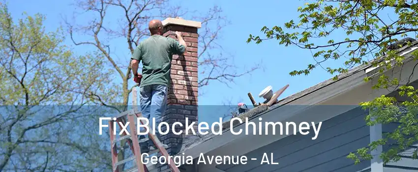 Fix Blocked Chimney Georgia Avenue - AL