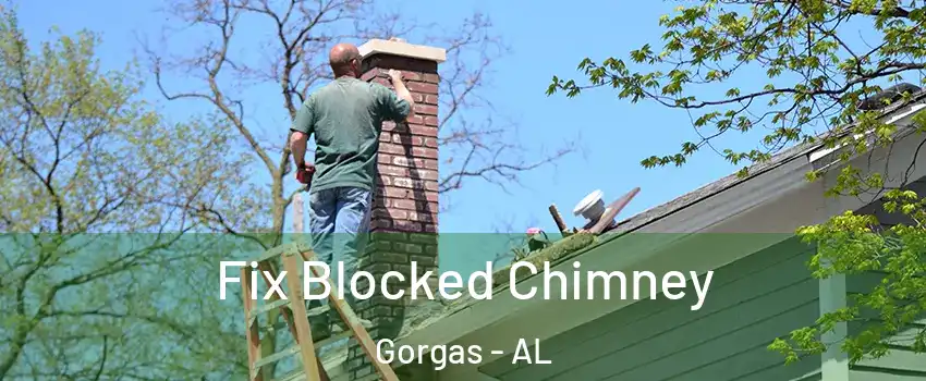 Fix Blocked Chimney Gorgas - AL