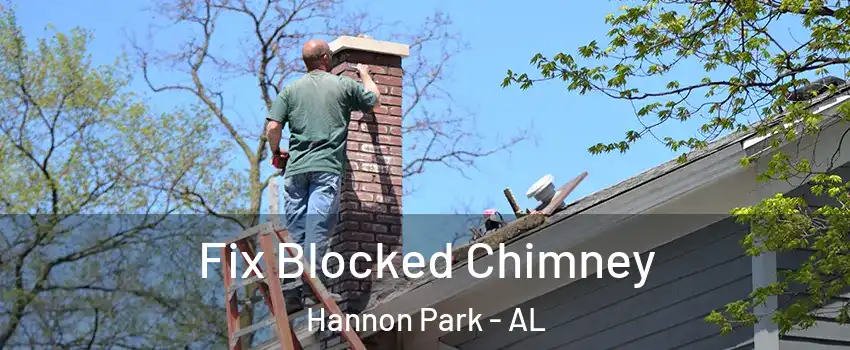Fix Blocked Chimney Hannon Park - AL