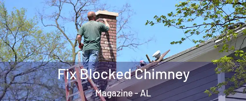 Fix Blocked Chimney Magazine - AL